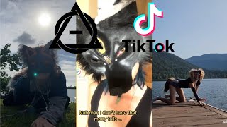 Therian and Quadrobics TikToks || Compilation  || Alterhumans of TikTok #36