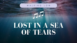 Walking Low - Lost in a Sea of Tears (Acoustic Guitar)