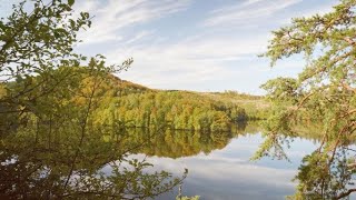 Waldviertel Im Herbst