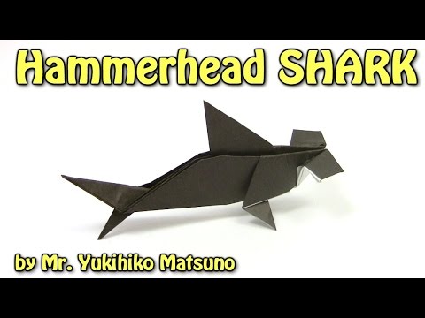 Video: Hammerfish: hoe de haai voedsel werd