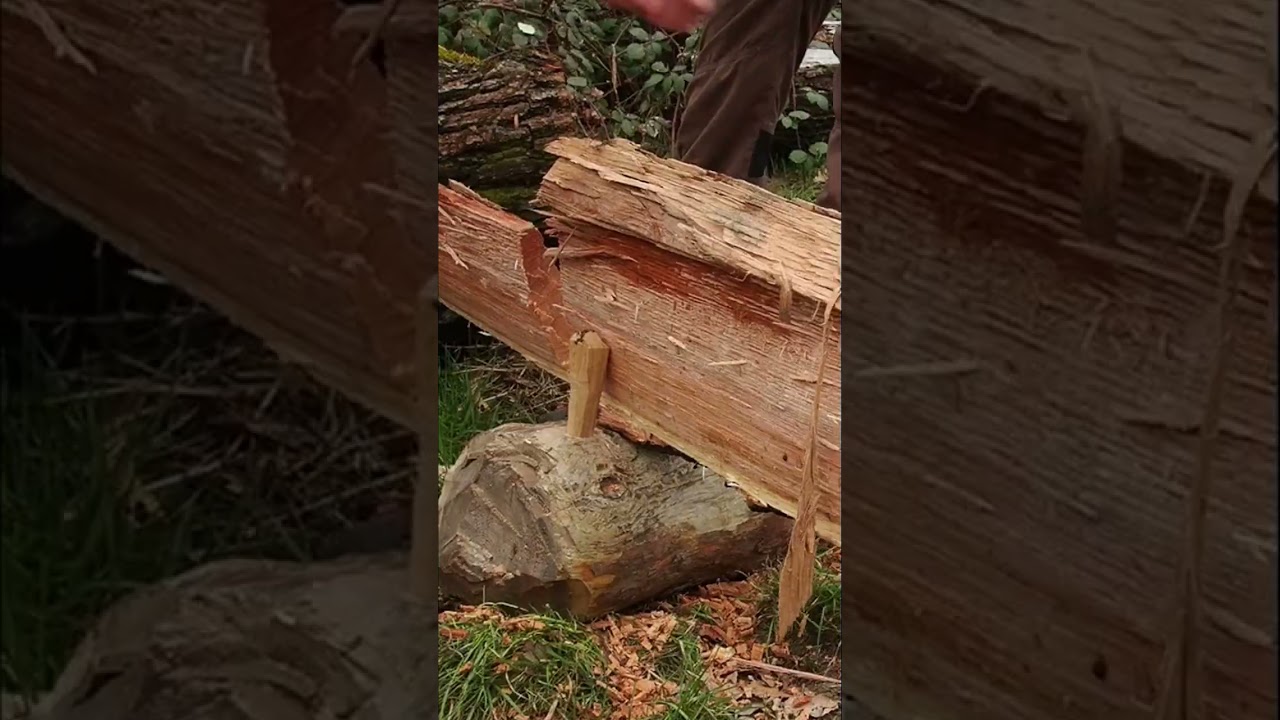 Making a board with one axe - The Medieval Way 