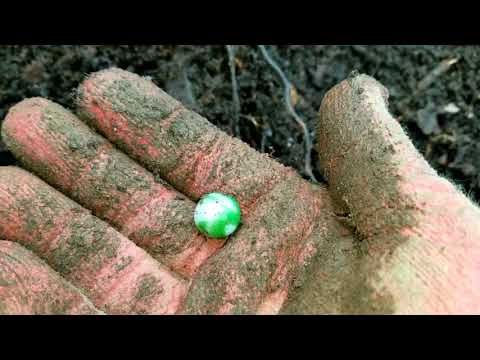 Bottle digging April 16 2018( 1947 Brownie drink bottle)