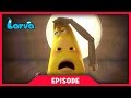 LARVA - LIMBS | 2017 Cartoon Movie | Videos For Kids | 라바 | LARVA Official