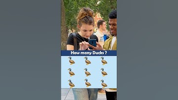 How Many DUCKS do you See
