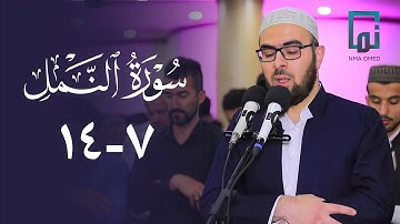 سورة النمل (٧-١٤) #یحیی_الشيخاني  ‏#YahyaALshaikhani