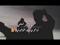 ضهري وحمايتي وسندي أنت ودنيتي 