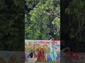 Shri Krishna Janmashtami Celebration | Vivek Travel Trails
