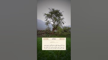 وَتَرَى الْمَلَائِكَةَ حَافِّينَ مِنْ حَوْلِ الْعَرْشِ  [سورة الزمر] الشيخ ماجد العويري #quran