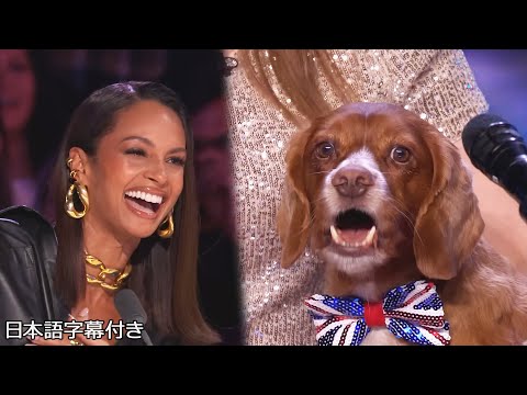 【和訳】アリーシャの曲を歌える犬のマウスは、原曲を越えられる！？ | BGT 2023