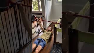 How to set up an inverted row at home