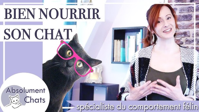 Nourrir son chat : quand, comment et à quelle fréquence ?