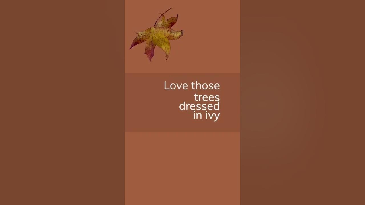 take-a-little-autumn-stroll-with-me-youtube