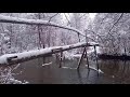 Walk in the winter forest/Vilnius surroundings/Lithuania/Прогулка в зимнем лесу/окрестности Вильнюса