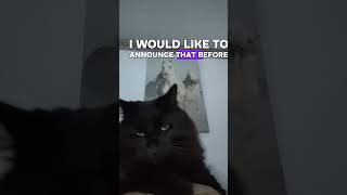 Morticia is over it all.. including me 🤣♥️#blackcat #blackcatsrock #morticia