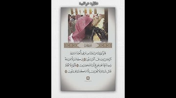 الشيخ محمد اللحيدان سورة يس تلاوة عراقية #محمد_اللحيدان #قرآن #قران_كريم #تلاوة_خاشعة #ستوريات