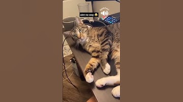 Give this video a title wrong answers only part 5