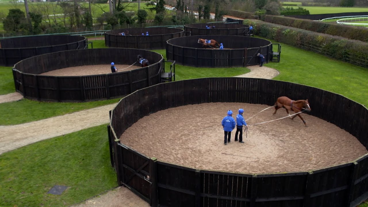 الخطوات الأولى