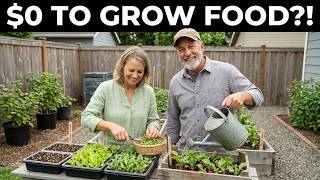 The $0 Food System Growing Across America — Simple, Silent, and It Works