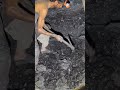 Coal mining process #shorts  #stone #minecraft #mining #usa #Uk #mountain