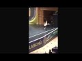 Julia O'Rourke dancing at the Irish Dancing World Championships 2016 Glasgow.