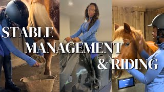 Mechanical Horse Riding & Stable Management; Beginner Equestrian Diaries  Episode 1
