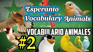 Esperanto Vocabulario Animales / Vocabulary Animals #2