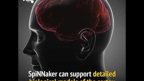 Newly Built Computer Mimics The Human Brain