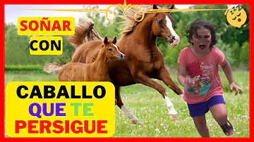 ¿Qué significa que un caballo te siga?