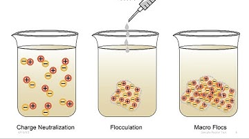 Ostwald Ripening, Flocculation, Coagulation, Sedimentation
