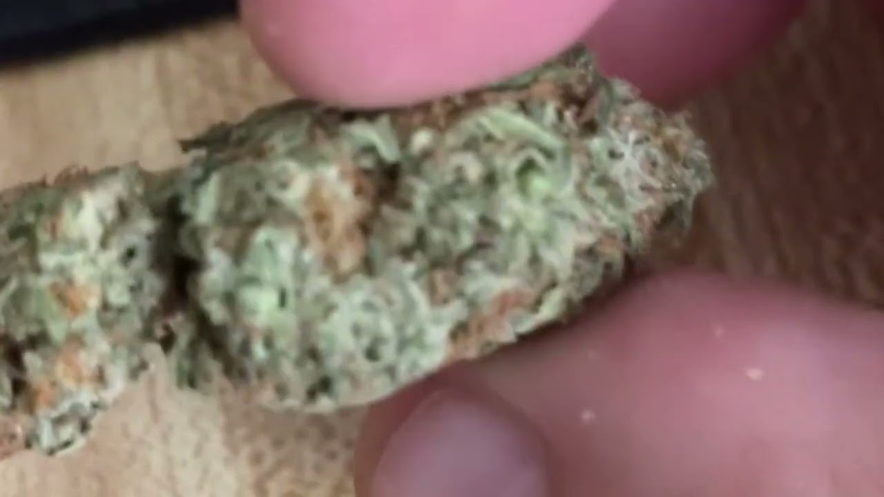 Country Grown Cannabis Gelato Strain Review 