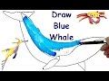 How to Draw Blue Whale 