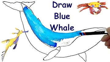 How to Draw a Blue Whale 🐋  Draw Animals