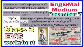 Class 3 EVS worksheet december 7 English and Malayalam medium | std 3 evs worksheet december 7