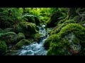 Sound Relaxation Therapy 30 Minutes to Reduce Anxiety