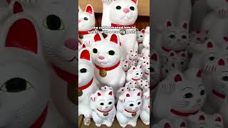 A MUST-Visit Temple in Tokyo 🐱 | Gotokuji Lucky Cat Shrine #Shorts