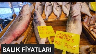 Güncel Balık Fiyatları Altınoluk Su Ürünleri Kooperatifi -14 Ocak 2026 -Şfet