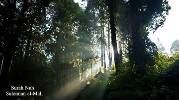 Surah Nuh Suleiman al-Māli | سورة نوح سليمان المالي