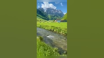تلاوة حجازية مميزة