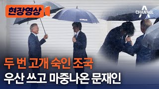 [현장영상] 두 번 고개 숙인 조국 우산 쓰고 마중나온 문재인 / 채널A