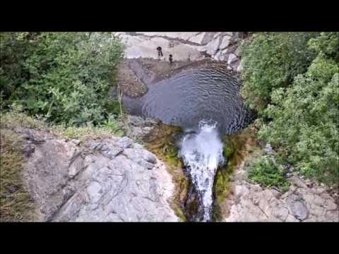 თბილისის ბოტანიკური ბაღი