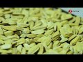 Melon seeds premade pouch packaging machine .stand up pouch with zipper packing machine