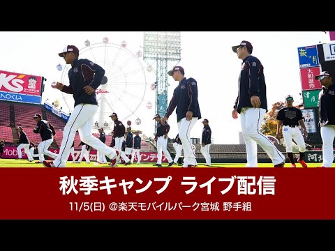 11月5日秋季キャンプ ライブ配信！