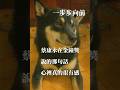 一步步向前#fyp #hachi #hot