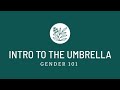 Gender 101 | Episode 1 | Intro to the Umbrella