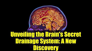 Unveiling the Brain