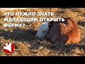 Ферма с нуля | Что нужно знать желающим открыть ферму | Как стать фермером