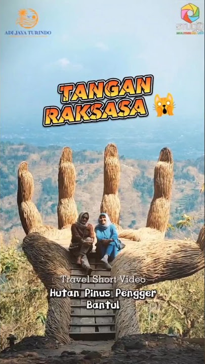 Genggaman Tangan Raksasa Hutan Pinus Pengger Bantul #aesthetic #shorts #cinematic