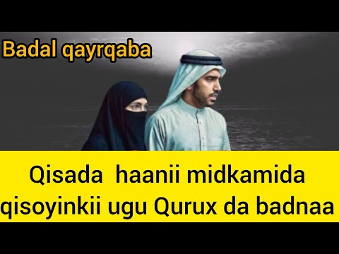 Qisada Haanii Midkamida Qisoyinkii Ugu Qurux Da Badnaa Cajiib Sanaa Qisasdikrihafsa