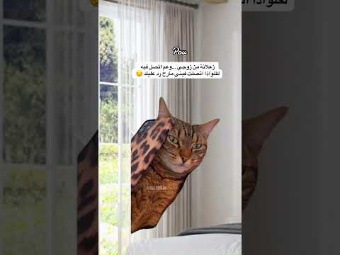 حصلل  اكسبلور  كوميديات  لايك ضحك مالي خلق احط هاشتاقات