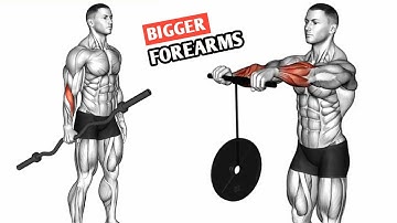 Perfect Forearm Workout | Best Exercises for bigger Forearms